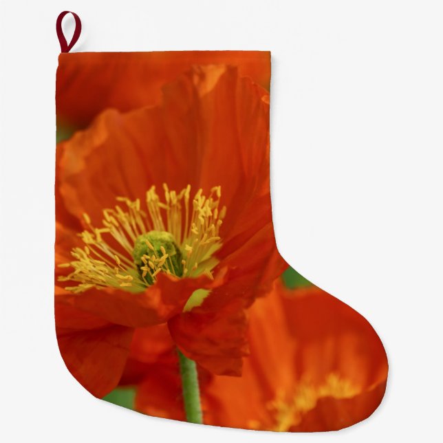 Vacker Red Poppy Stor Julstrumpa (Framsidan)