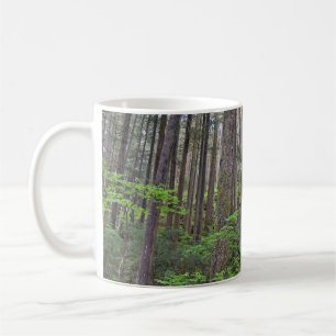Vacker regnskog kaffemugg
