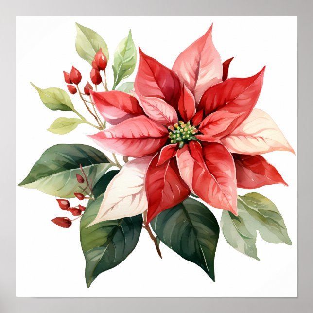 Vacker röd jul Poinsettia Poster (Framsidan)
