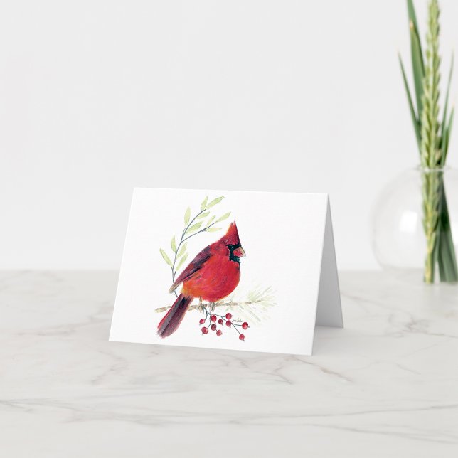 Vacker röd kardinalanteckningskort anteckningskort (Beautiful Red Cardinal Watercolor Colored Pencil Blank Note Cards from Jenn Steffen Art)
