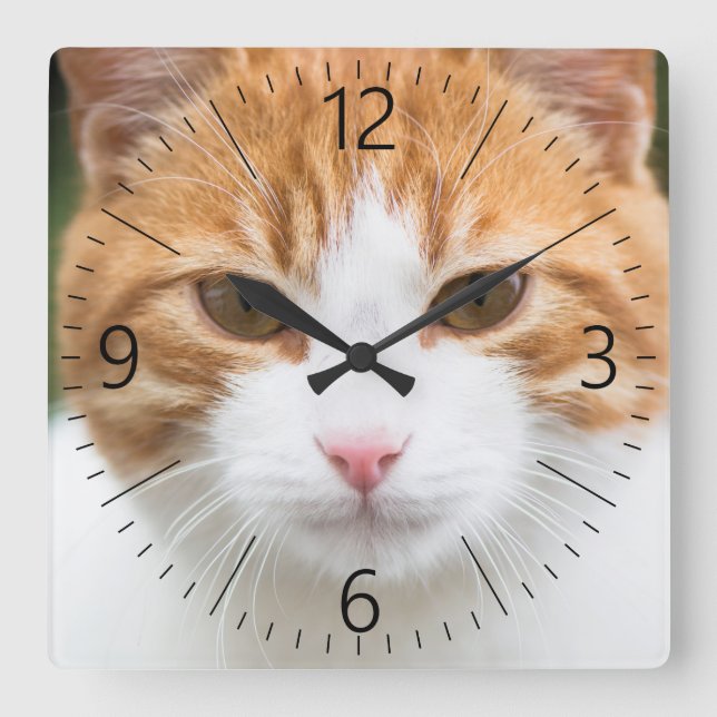 Vacker röd katt fyrkantig klocka (Framsida)