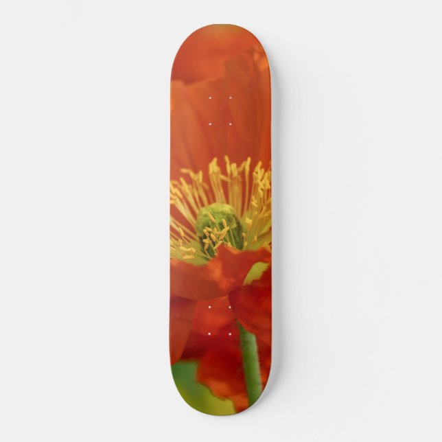Vacker röd vallmo mini skateboard bräda 18,5 cm (Framsida)