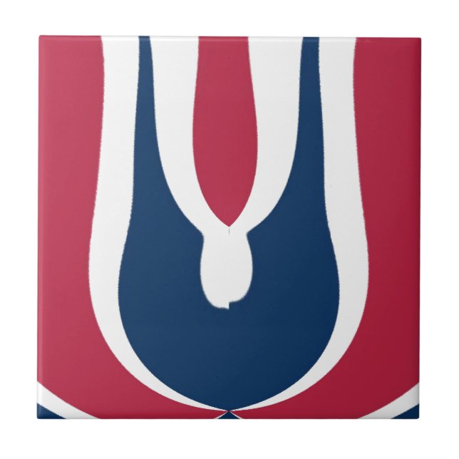 Vacker röd, vit, blå Struktur Färg-Abstrakten Kakelplatta (Framsidan)