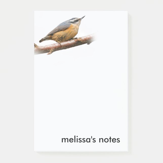 Vacker rödbrustad nuthatch på Gren Post-it Block (Framsida)