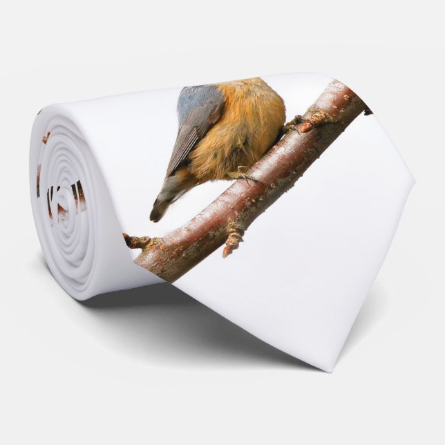 Vacker rödbrustad nuthatch på Gren Slips (Rullad)