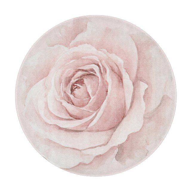 Vacker Rosa Belle Ros Blomma (Framsidan)