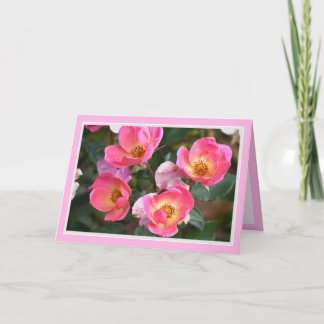 Vacker Rosa Blommor Födelsedagskort Kort