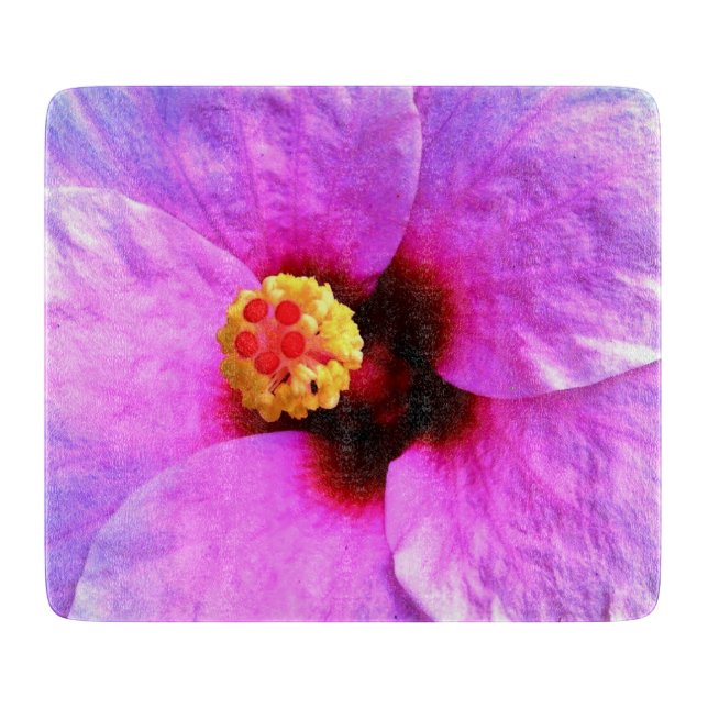 Vacker Rosa Blomning Blomma Natur  (Framsidan)