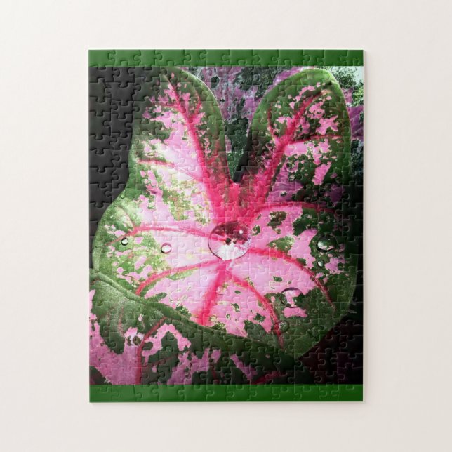 Vacker rosa caladium Puzzle Pussel (Vertikal)