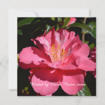 vacker rosa camellia blomma all fest
