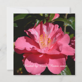 vacker rosa camellia blomma all fest inbjudningar