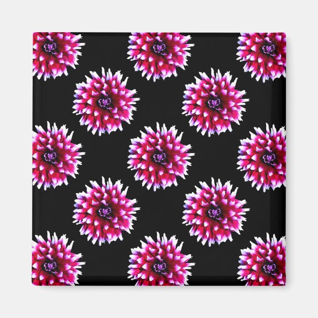 Vacker rosa dahlia blomma natur mönster magnet (Framsidan)