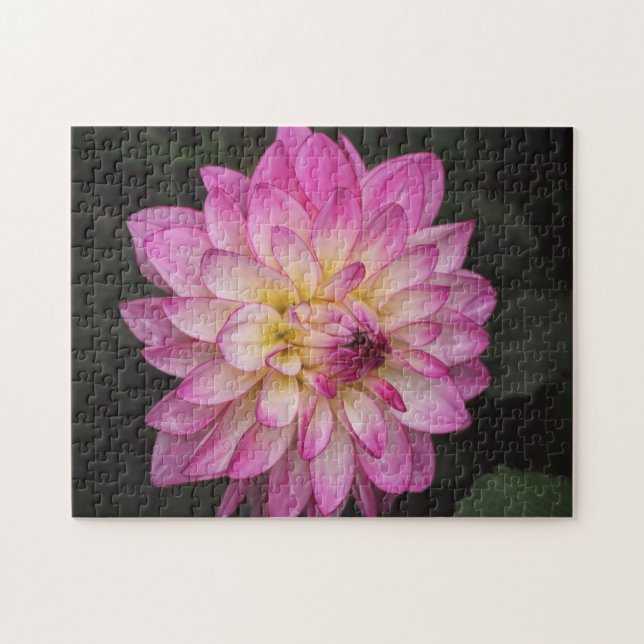 Vacker Rosa Dahlia Flower Puzzle Pussel (Horisontell)