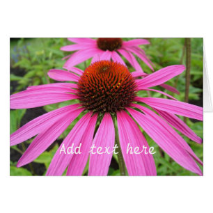 vacker rosa lila blommor hälsningskort
