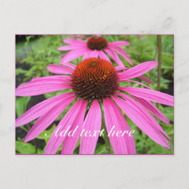 vacker rosa lila blommor vykort