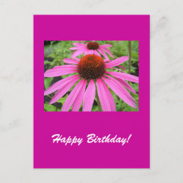 vacker rosa lila blommor vykort