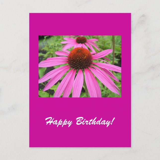 vacker rosa lila blommor vykort (Framsida)