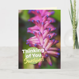 Vacker Rosa Lila Tändsticksplanta Blomma Kort