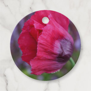 Vacker rosa & lila vallmo blomma gåvor etiketter