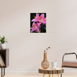 Vacker Rosa Lilja Blommar Blommig Poster