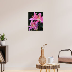 Vacker Rosa Lilja Blommar Blommig Poster