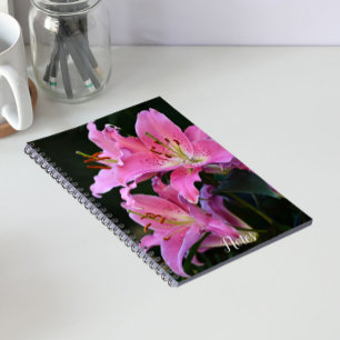 Vacker Rosa Lilja Blommar Blommor Anteckningsbok