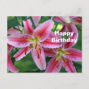 Vacker Rosa Lilja Blommig Foto Födelsedag Vykort