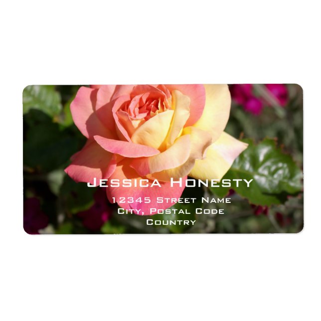 Vacker rosa och gul rosblomma, anpassad fraktsedel (Framsidan)