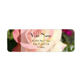Vacker rosa och gul rosblomma, anpassad returadress etikett