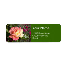 Vacker rosa och gul rosblomma, anpassad returadress etikett