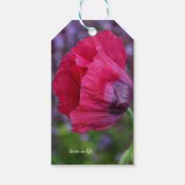 Vacker rosa och lila vallmo blomma presentetikett