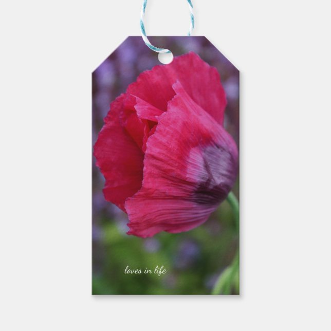 Vacker rosa och lila vallmo blomma presentetikett (Framsidan)