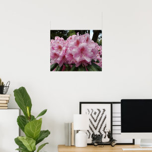 Vacker Rosa Rhododendron Blommar Blommor Poster
