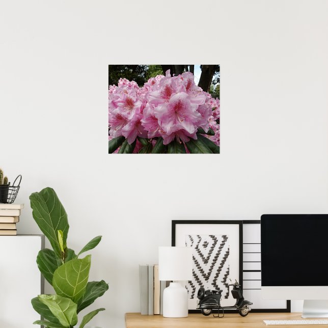 Vacker Rosa Rhododendron Blommar Blommor Poster (Hemmakontoret)