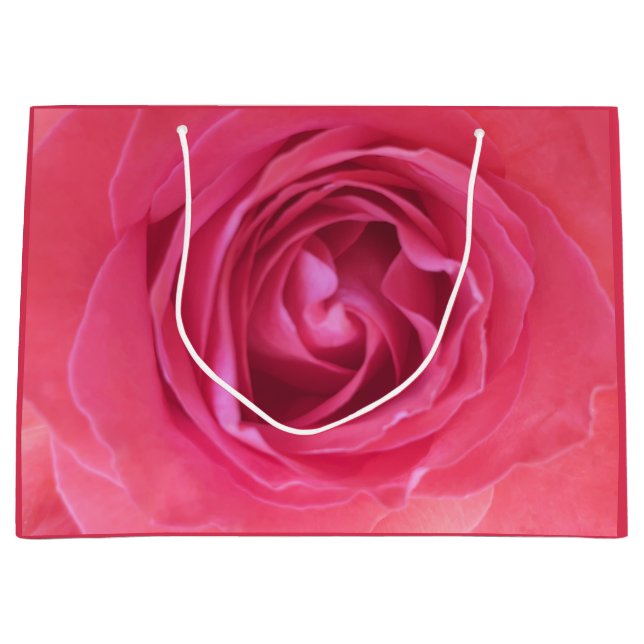 Vacker Rosa Ros (Framsidan)