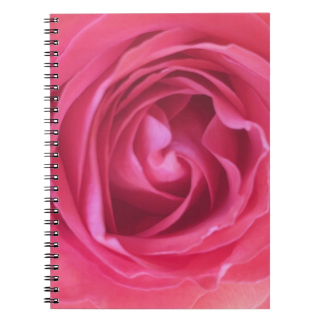 Vacker rosa ros anteckningsbok (Framsidan)