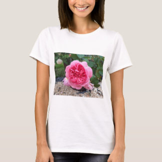 Vacker Rosa Ros Blomma Blommig Trädgårdsskjorta T Shirt
