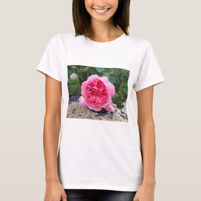 Vacker Rosa Ros Blomma Blommig Trädgårdsskjorta T Shirt (Framsida)