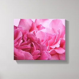 Vacker rosa ros blommodärn vacker stilfull canvastryck