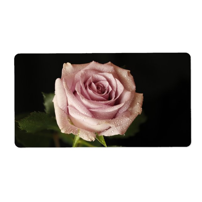 vacker rosa ros fraktsedel (Framsidan)