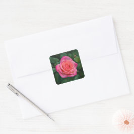 Vacker rosa ros konstdekal fyrkantigt klistermärke