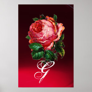 VACKER ROSA ROS MONOGRAM POSTER