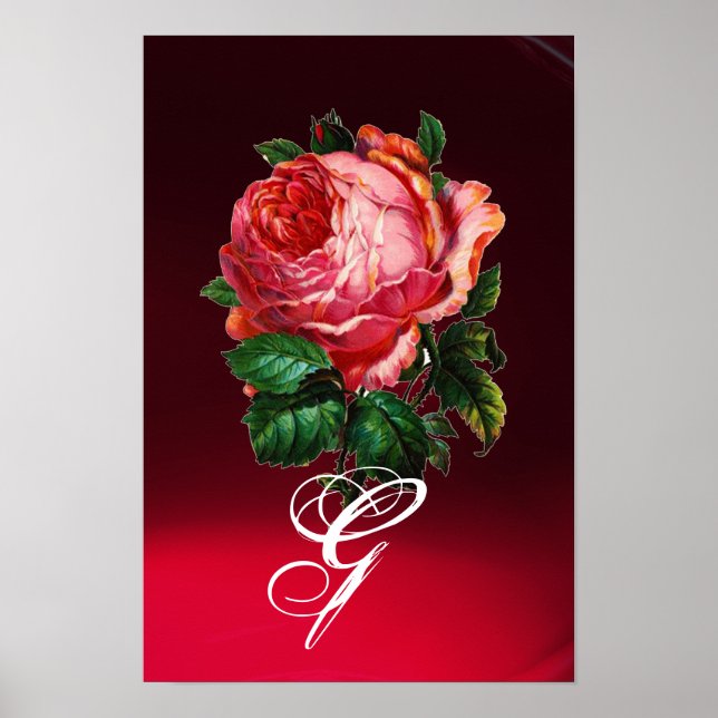 VACKER ROSA ROS MONOGRAM POSTER (Framsidan)