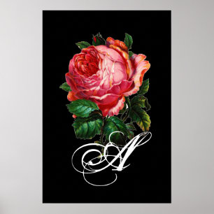 VACKER ROSA ROS MONOGRAM POSTER