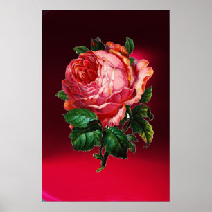 VACKER ROSA ROS POSTER