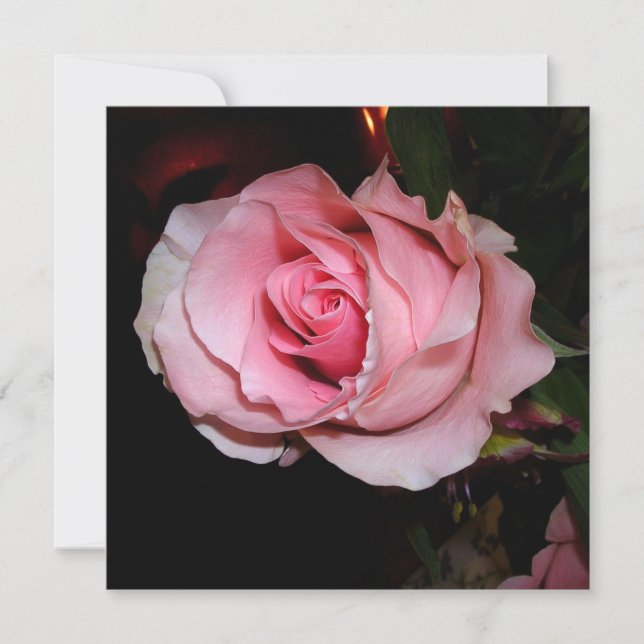 Vacker rosa ros tack kort (Framsida)