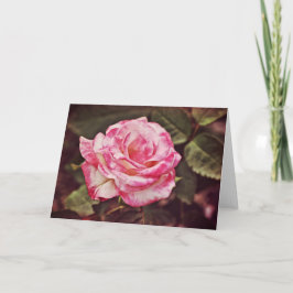 Vacker rosa ros trokort Psaltaren 102:26 Kort