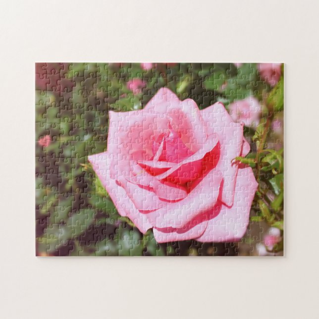 vacker rosa rosblomma med söta hjärtan pussel (Horisontell)
