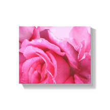 Vacker rosa rosblomma stilren modern blomster