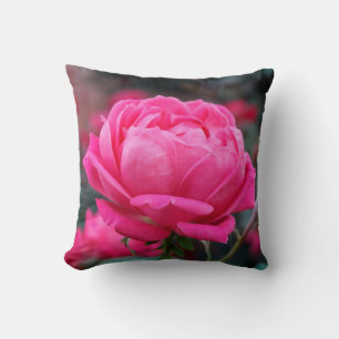 Vacker rosa rosblommig kudde